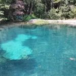 J&J's Place at the Springs