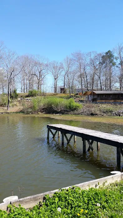 Okomo Camp Ground And Boat Launch 7