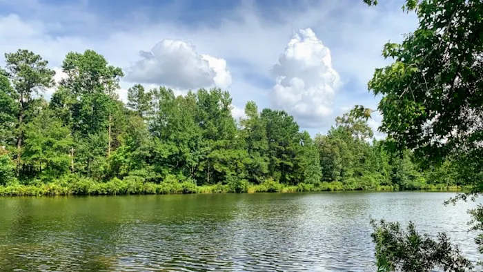 Peach Queen Campground 9