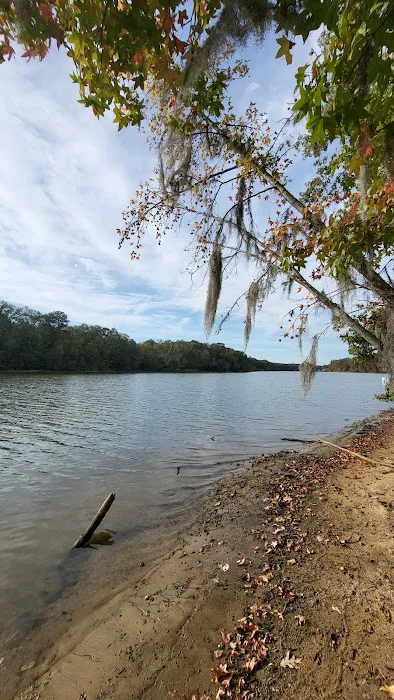 Bluff Creek Park 4