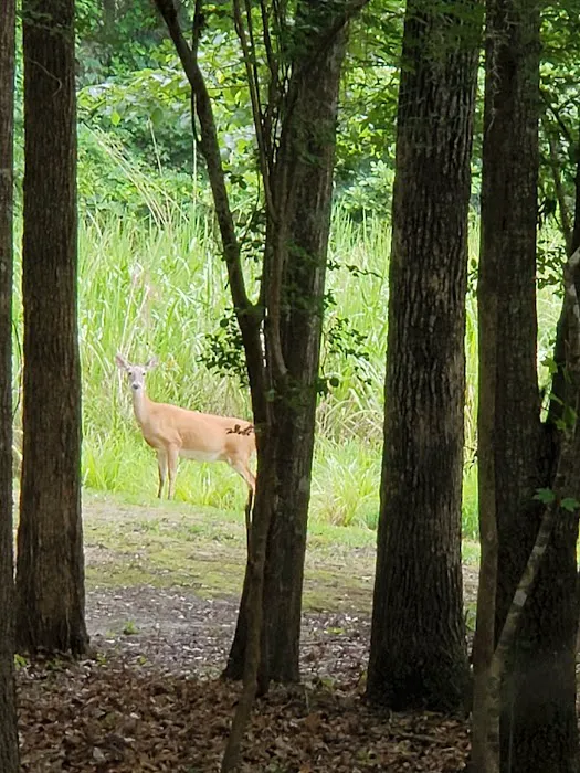 Bluff Creek Park 3