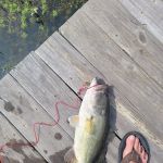 Lake Eufaula Campground