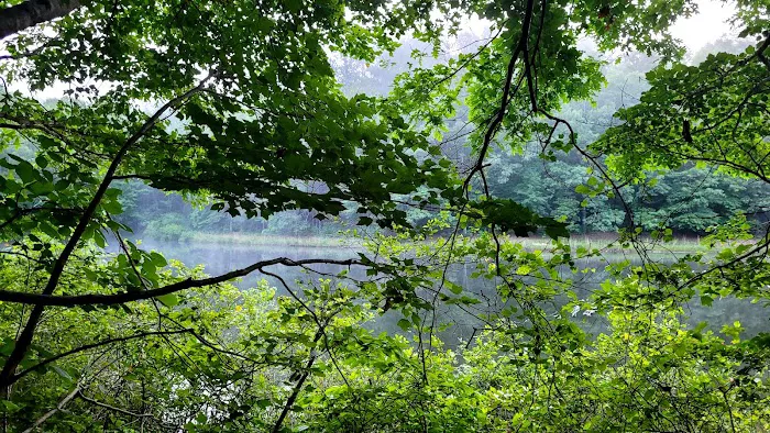 Camp Sequoyah: Frank Spain Scout Reservation 2