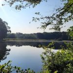 Camp Sequoyah: Frank Spain Scout Reservation