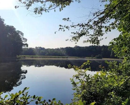 Camp Sequoyah: Frank Spain Scout Reservation