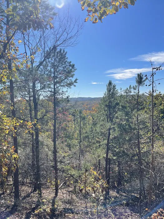 Cheaha Hideaway LLC 7