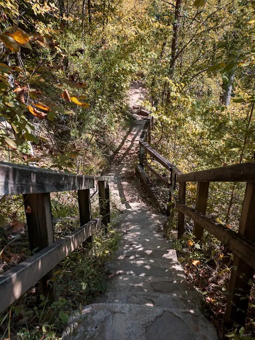 Timberline Glamping Cheaha 9