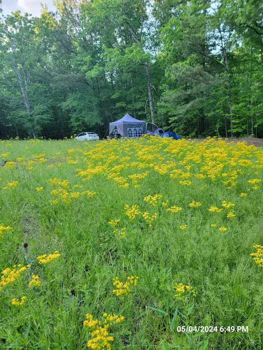 Hidden Branch Campground 4