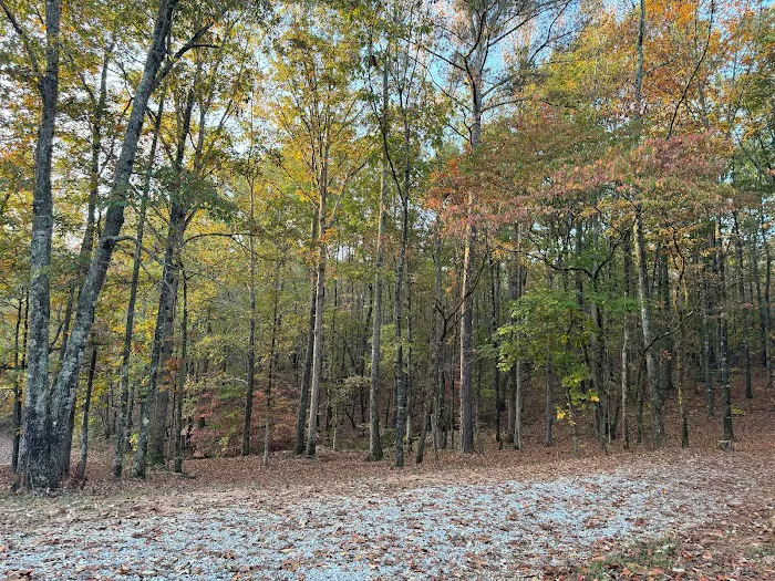 Hidden Branch Campground 9