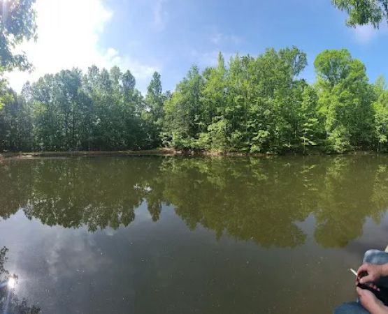 Hidden Branch Campground