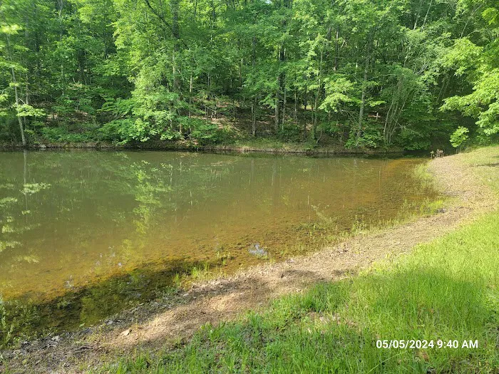 Hidden Branch Campground 2