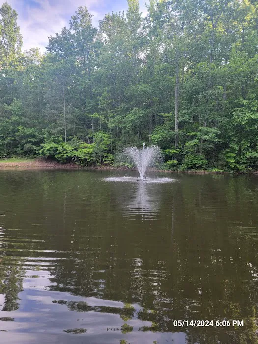 Hidden Branch Campground 5
