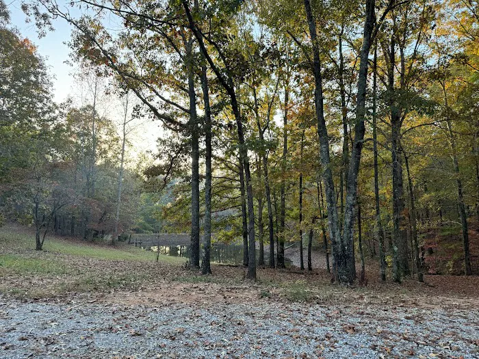 Hidden Branch Campground 7