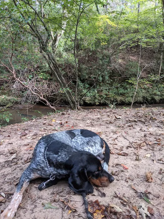 Camp Hidden Creek - Ashland, AL 9