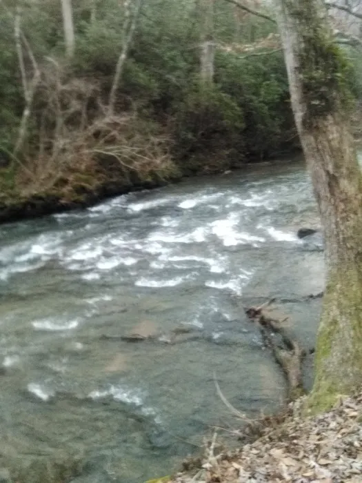 Camp Hidden Creek - Ashland, AL 4