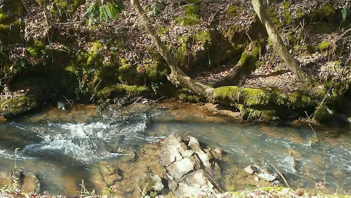 Camp Hidden Creek - Ashland, AL 3