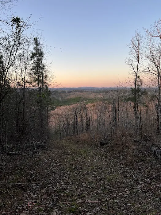 Franks Point Of View LLC 3