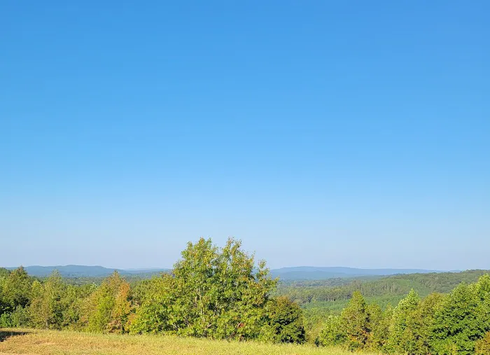 Franks Point Of View LLC 4