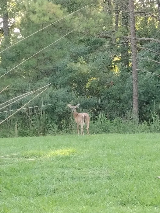 Corinth Recreation Area 7