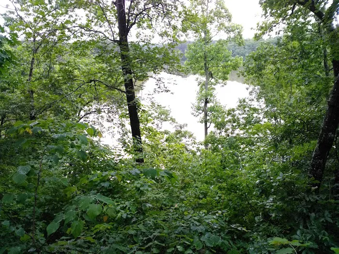 Salacoa Creek Park 9