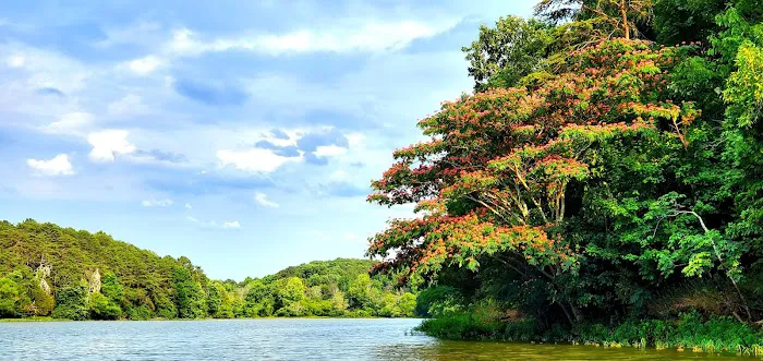 Salacoa Creek Park 0