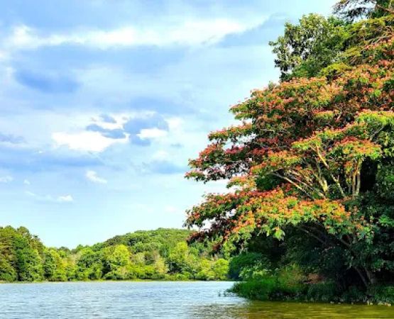 Salacoa Creek Park
