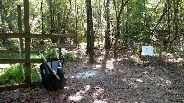 Prentice Cooper Primitive Campsite 4