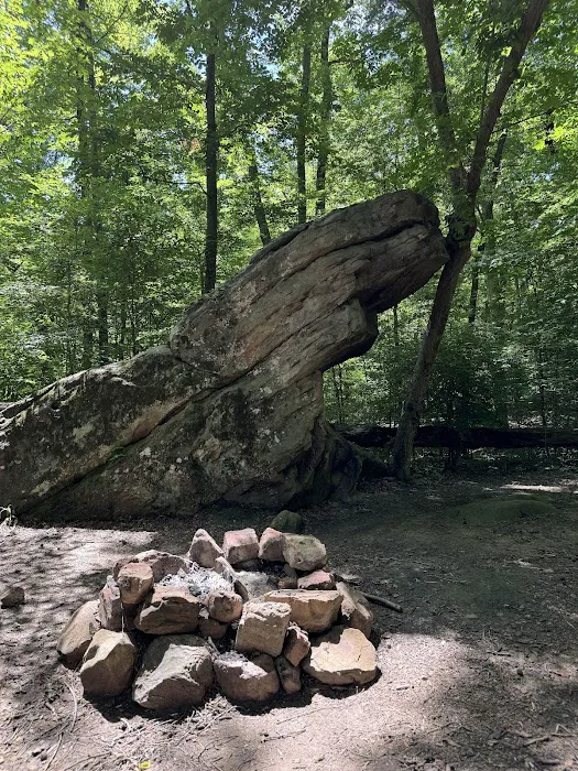 Prentice Cooper Primitive Campsite 9