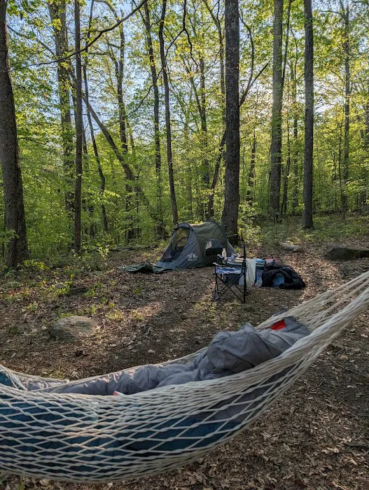 Prentice Cooper Primitive Campsite 13