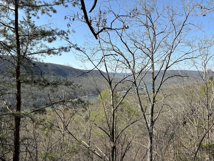 Prentice Cooper Primitive Campsite 15