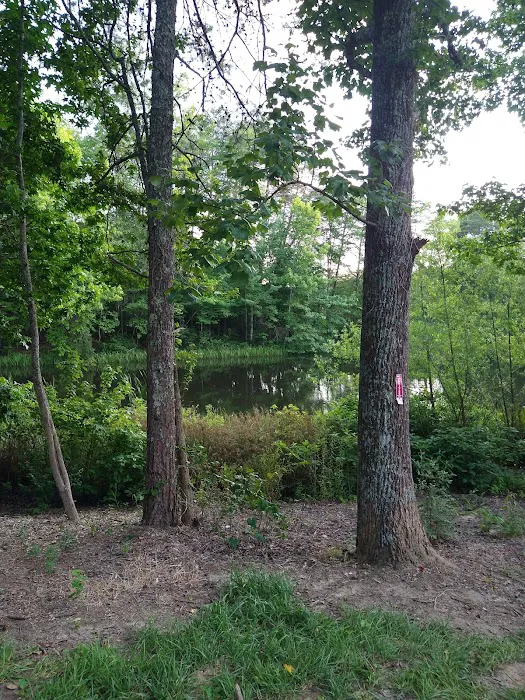 Davis Pond 8