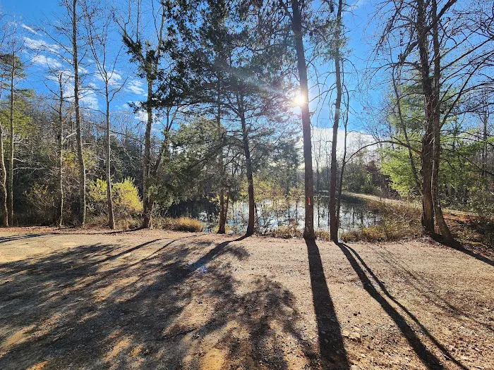 Davis Pond 3
