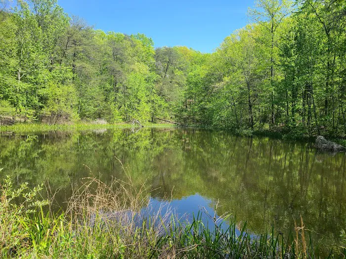 Davis Pond 7