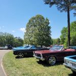 Booker T Washington Group Camp