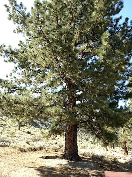 CRAGS CAMPGROUND 9