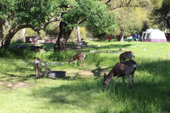 Potwisha Campground 8