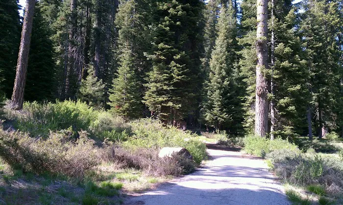 Fir Group Campground 0