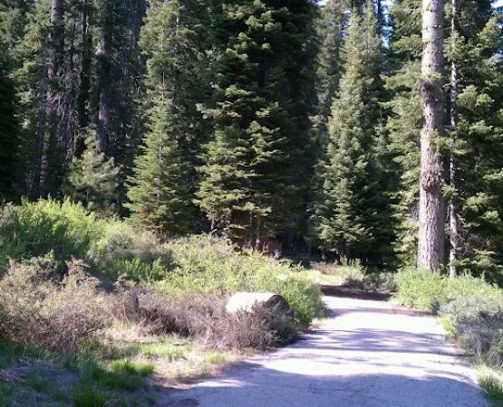 Fir Group Campground