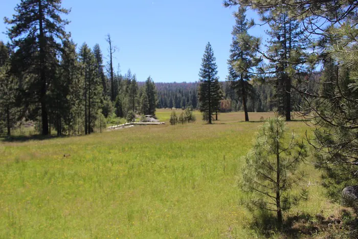 Cove Group Campground 4