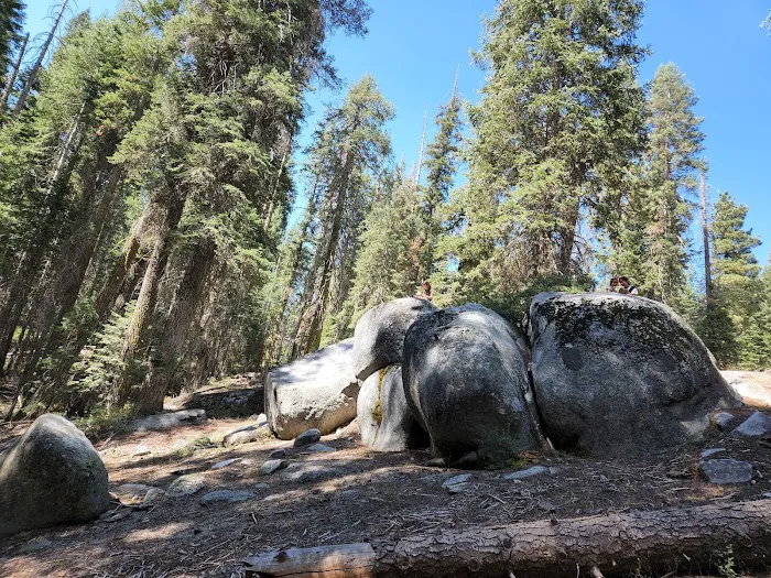 Cove Group Campground 2