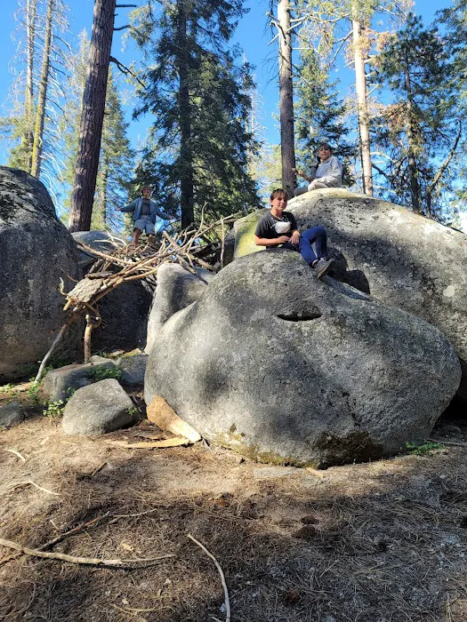 Cove Group Campground 9