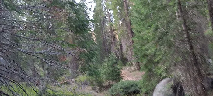 Cove Group Campground 6