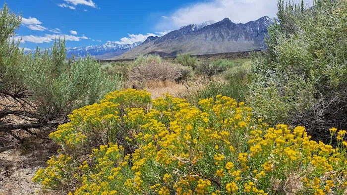 Glacier View Campground 8