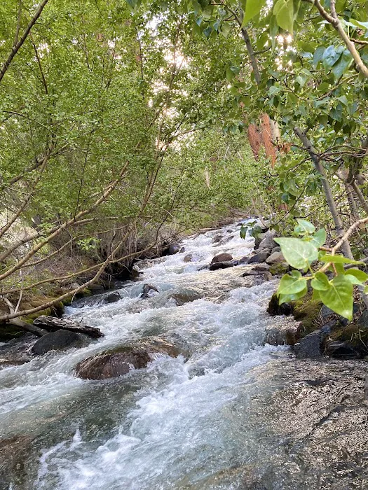 Sage Flat Campground 3