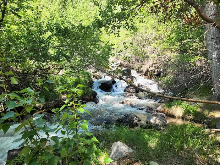 Upper Sage Flat Campground 6