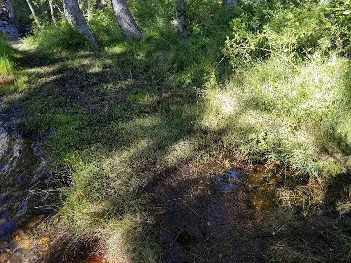 Upper Sage Flat Campground 7