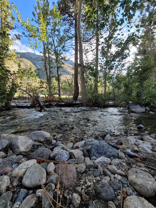 Upper Sage Flat Campground 8