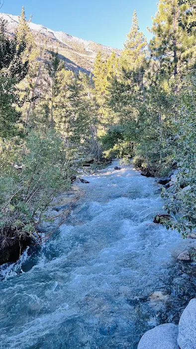 Big Pine Canyon Group Camp Site 8