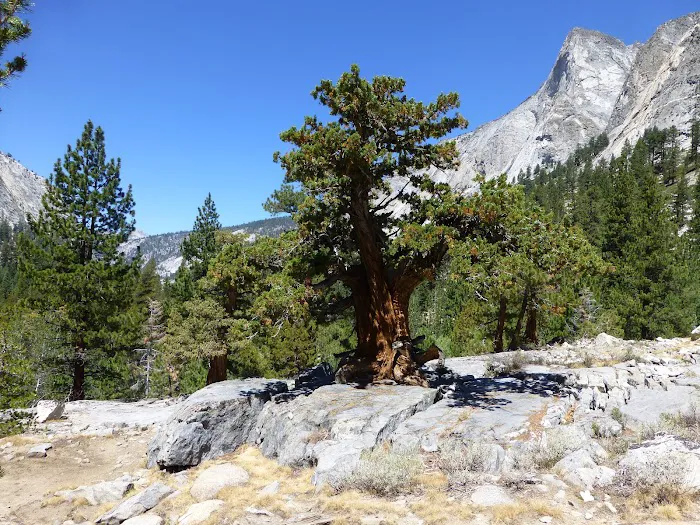 Woods Creek campground 1