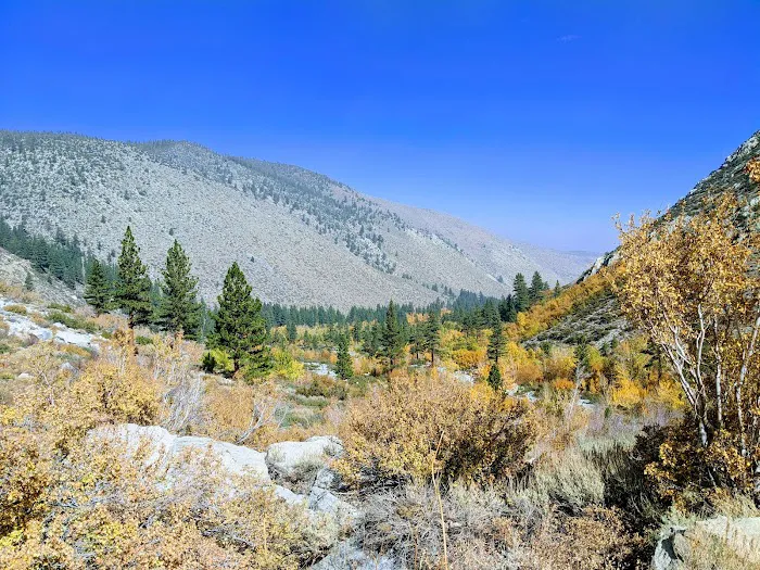 Big Pine Creek Campground 2
